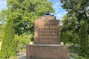 Napoleonstein image
