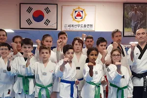 Center Traditional Taekwondo image