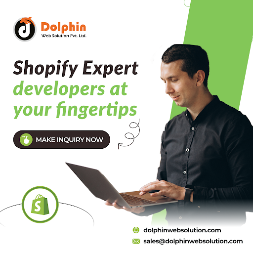 Dolphin Web Solution - eCommerce Website & App Development Company USA image