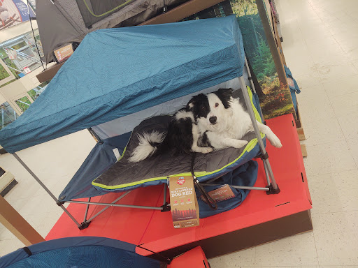 Pet Supply Store «PetSmart», reviews and photos, 3033 NY-50, Saratoga Springs, NY 12866, USA