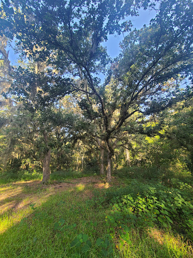 Nature Preserve «Marshall Hampton Reserve», reviews and photos, 3115 Thornhill Rd, Winter Haven, FL 33880, USA