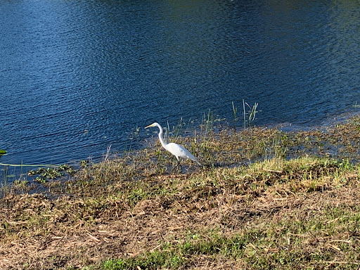 Park «Eagle Lake Park», reviews and photos, 1800 Keene Rd, Largo, FL 33771, USA