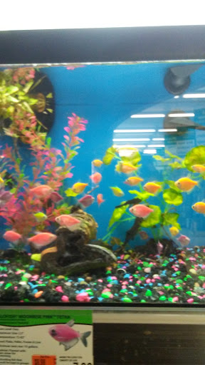 Pet Supply Store «Pet Supplies Plus», reviews and photos, 1377 N 21st St, Newark, OH 43055, USA