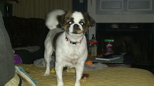 Auto Repair Shop «Quality Automotive of Medina», reviews and photos, 8035 Norwalk Rd, Litchfield, OH 44253, USA