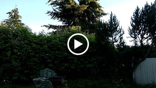 Public Golf Course «Walter Hall Golf Course», reviews and photos, 1226 W Casino Rd, Everett, WA 98204, USA