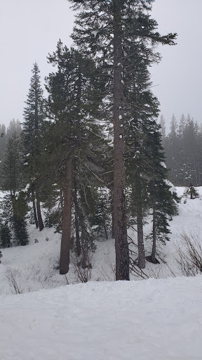 Grocery Store «Soda Springs General Store», reviews and photos, 21719 Donner Pass Rd, Soda Springs, CA 95728, USA