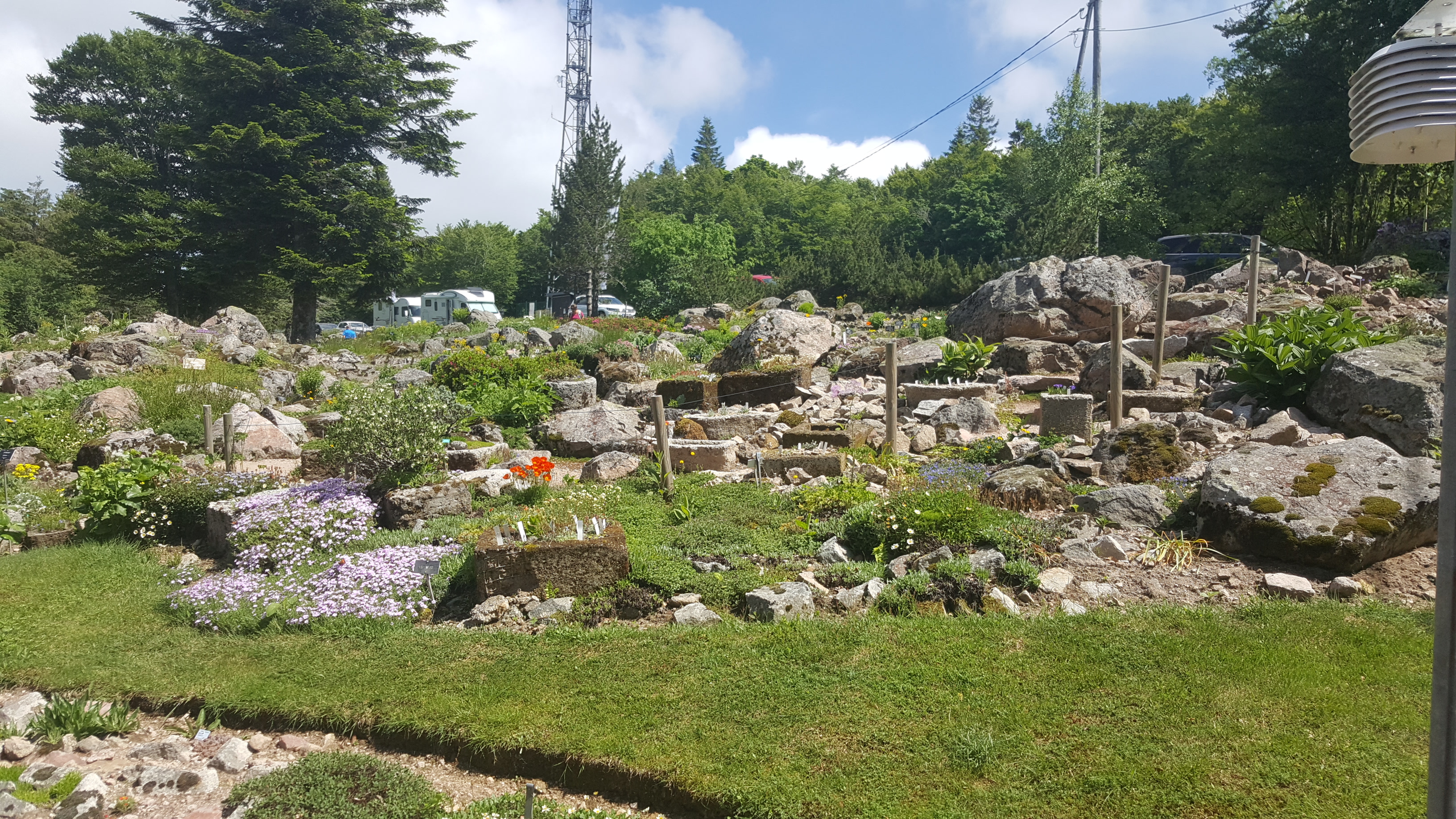 Photo n° 45 de l'avis de Jean-Sébastien.O fait le 23/06/2019 à 16:49