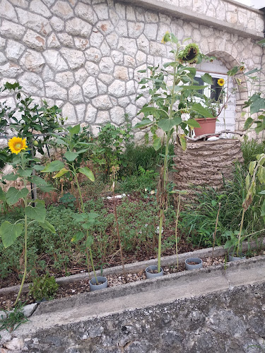 Šetalište Dr.Nike Andrijaševića br 17, 21330, Gradac