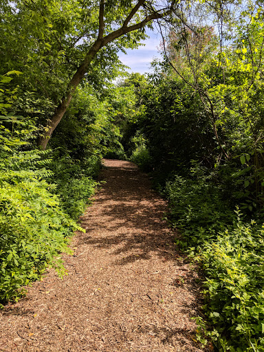 Park «Ira Township Park», reviews and photos, 7085 Meldrum Rd, Ira Township, MI 48023, USA