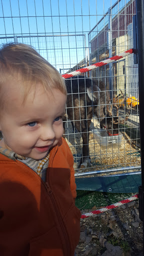 Produce Market «Welsh Heritage Farms», reviews and photos, 20758 528th Ave, Lake Crystal, MN 56055, USA