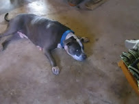 Quadracom Computer Services Inc - Photo 2 - Car repair in Etters, PA, Harrisburg