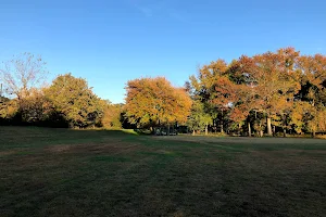 Acredale Community Park image