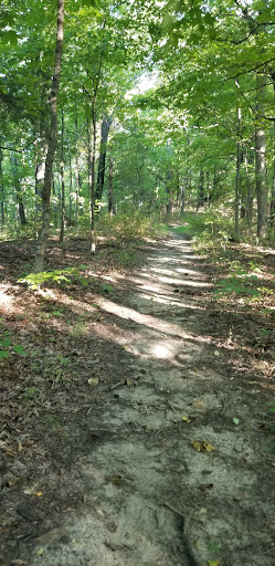 Nature Preserve «Engelmann Woods Natural Area», reviews and photos, 2360 Hwy D, Boles Township, MO 63304, USA