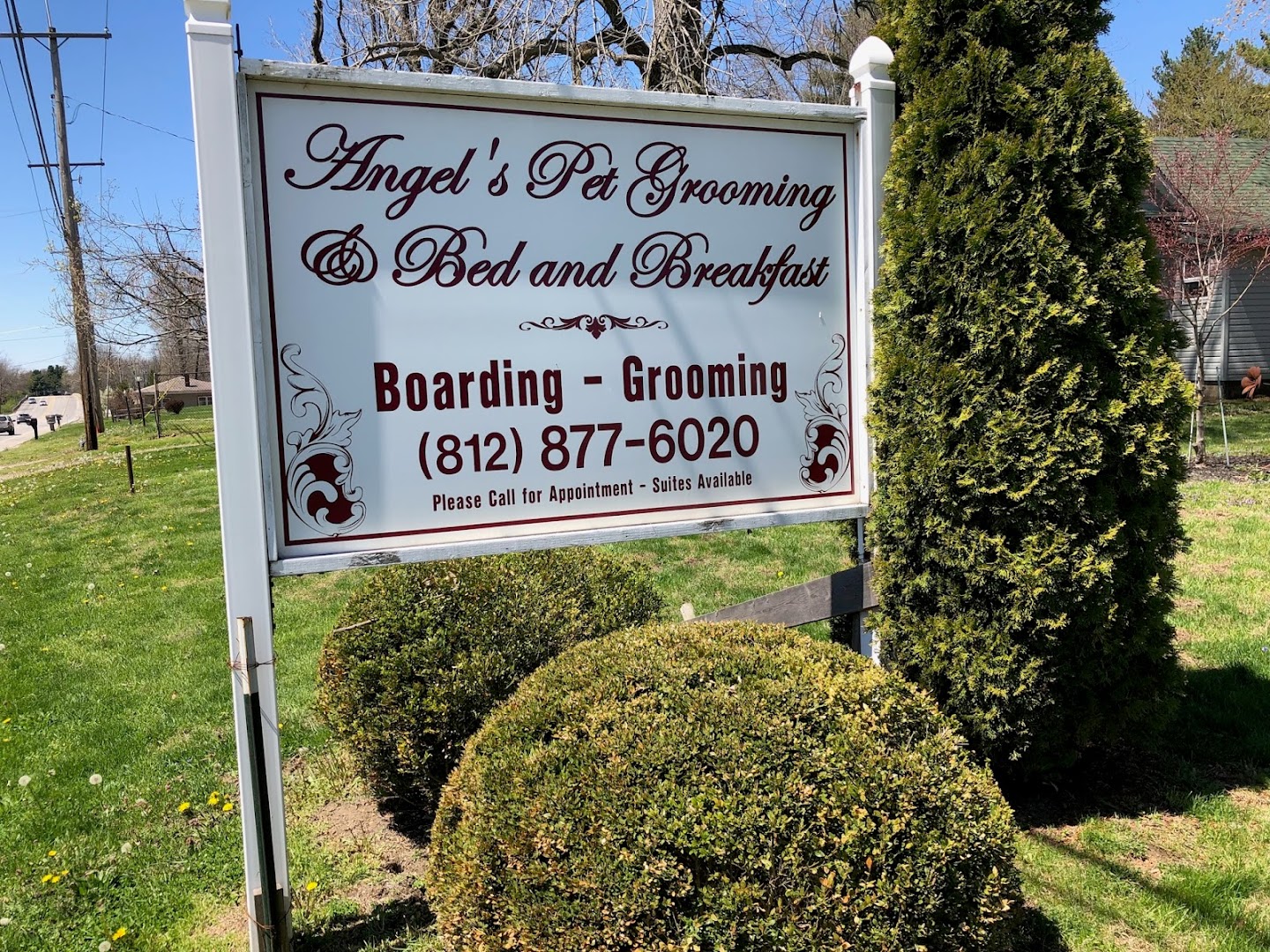 Angel's Pet Grooming & Bed And Breakfast