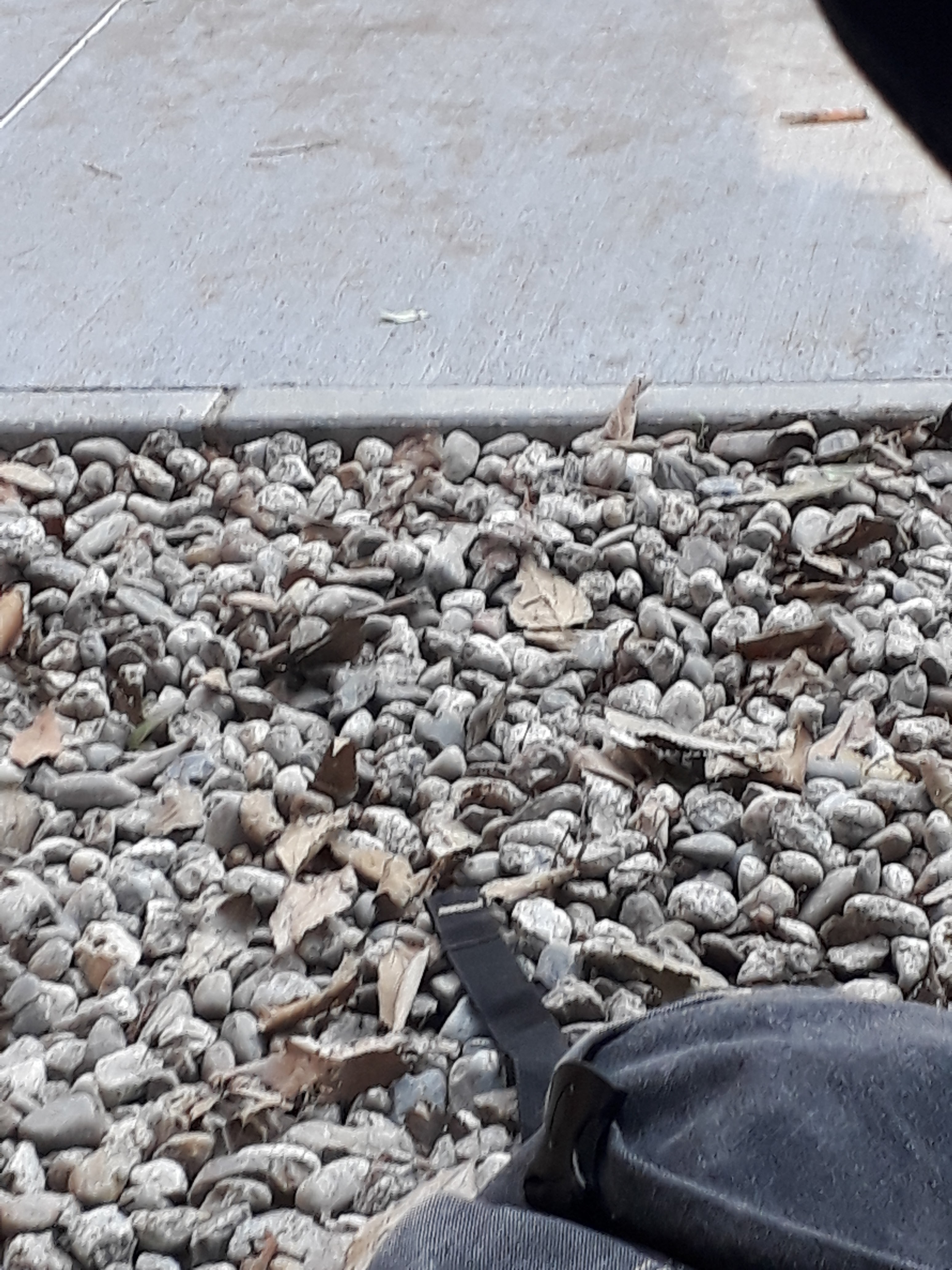 Photo n° 14 de l'avis de William.m fait le 11/12/2018 à 12:09