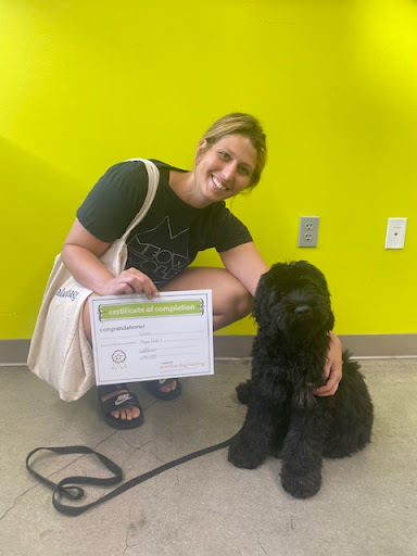 Pet Supply Store «Unleashed by Petco», reviews and photos, 81 7th Ave, Brooklyn, NY 11217, USA