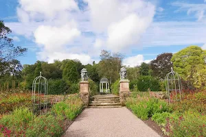 Cholmondeley Castle Gardens image