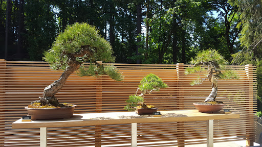 Garden «Portland Japanese Garden», reviews and photos, 611 SW Kingston Ave, Portland, OR 97205, USA