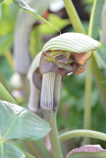 Nature Preserve «Creasey Mahan Nature Preserve», reviews and photos, 12501 Harmony Landing Rd, Goshen, KY 40026, USA