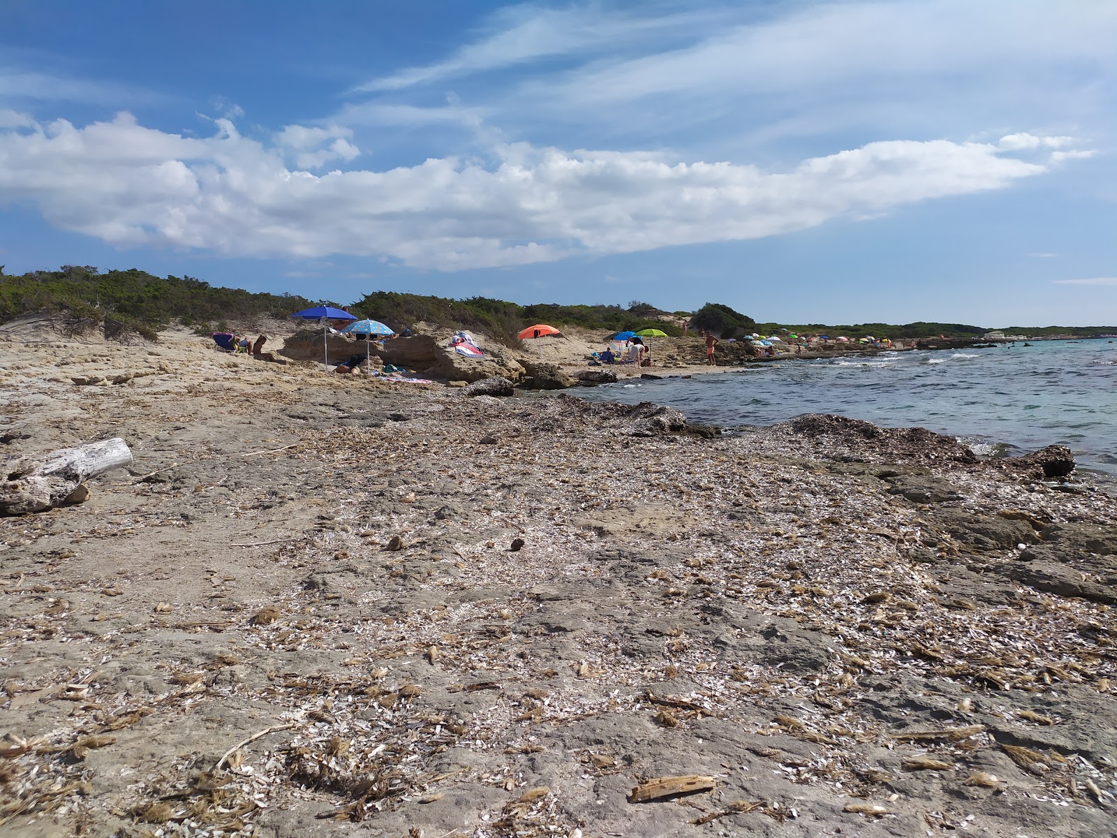 Photo of Calette Punta Pizzo with partly clean level of cleanliness