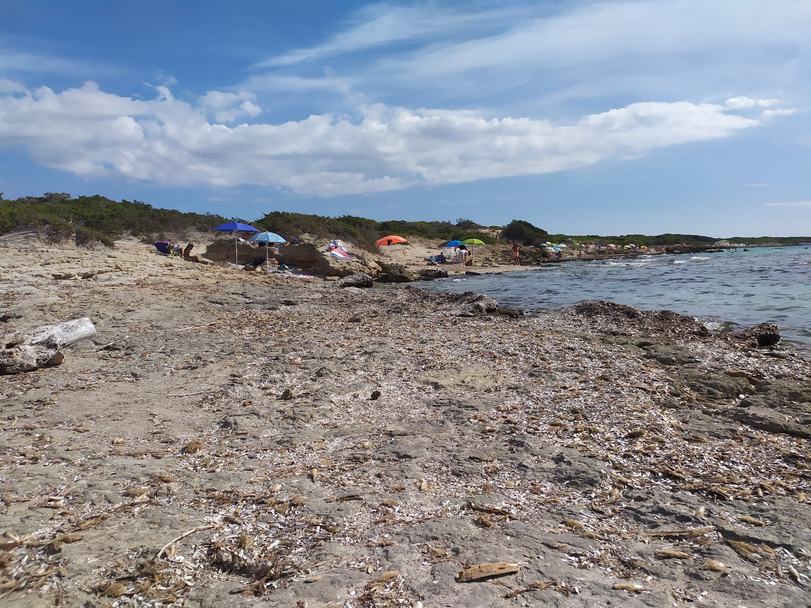 Photo de Spiaggia la Sujana zone sauvage