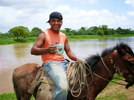 Cafe «Rio Coco Beans», reviews and photos, 3300 43rd Ave, Vero Beach, FL 32960, USA