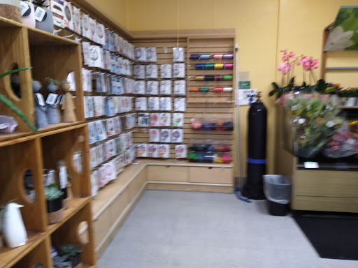 Pharmacy «Publix Pharmacy at Hallandale Place Shopping Center», reviews and photos, 1400 E Hallandale Beach Blvd, Hallandale Beach, FL 33009, USA