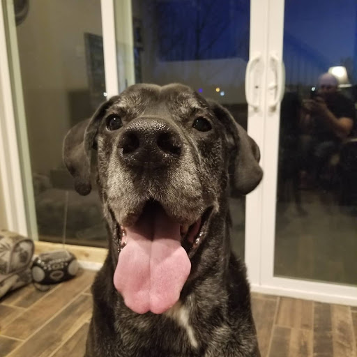 Tattoo Shop «Love N Hate Elite Tattoo Studio», reviews and photos, 2370 W Alameda Ave, Denver, CO 80223, USA