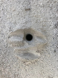 Great Wall Termite Control - Photo 2 - Car repair in San Jose, CA, San Jose