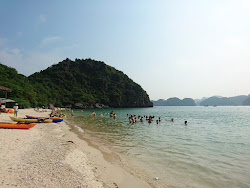 Photo de Monkey Island beach avec un rivage spacieux