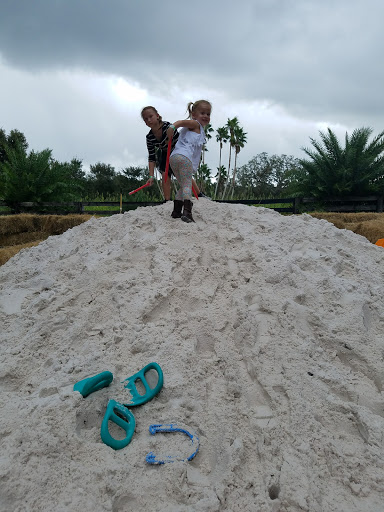 Event Venue «Club Lake Plantation Wedding Venue», reviews and photos, 3403 Rock Springs Rd, Apopka, FL 32712, USA