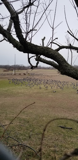 National Park «Jacob Riis Park (Gateway National Recreation Area)», reviews and photos, Rockaway Beach Blvd, Rockaway Park, NY 11694, USA
