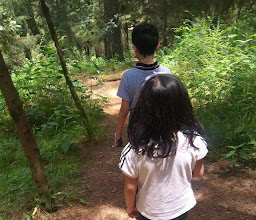 Arco del Valle De Las Monjas photo