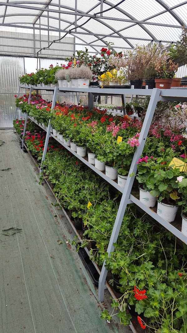 Imagen de Jardinería Abeto SL (5 de 18)