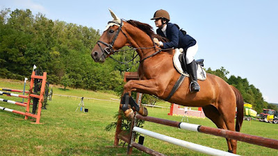 ECOLE D EQUITATION PRETY CUISERY à Cuisery