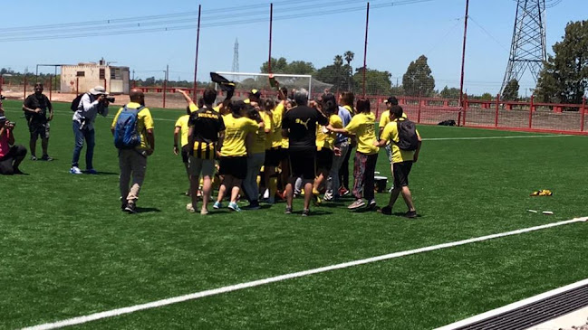 Opiniones de Las Acacias C.A.Peñarol en General Líber Seregni - Campo de fútbol