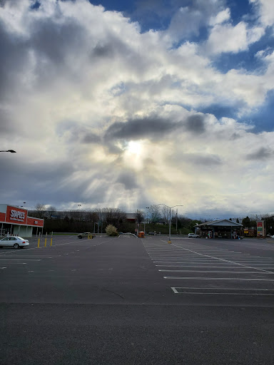 Dollar Store «Dollar Tree», reviews and photos, 1379 Ulster Ave, Kingston, NY 12401, USA