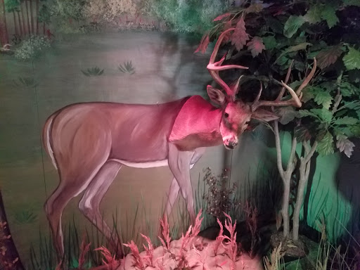 Park «Lake Houston Wilderness Park», reviews and photos, 25840 FM 1485, New Caney, TX 77357, USA