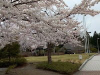 中ノ沢稲荷大明神