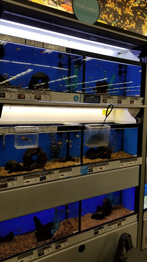 Pet Supply Store «Petco Animal Supplies», reviews and photos, 6280 S Westnedge Ave, Portage, MI 49002, USA