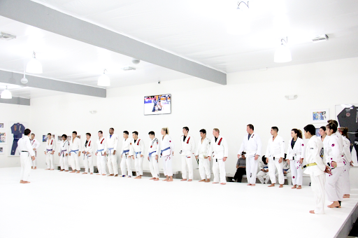 Art of Jiu Jitsu Academy image