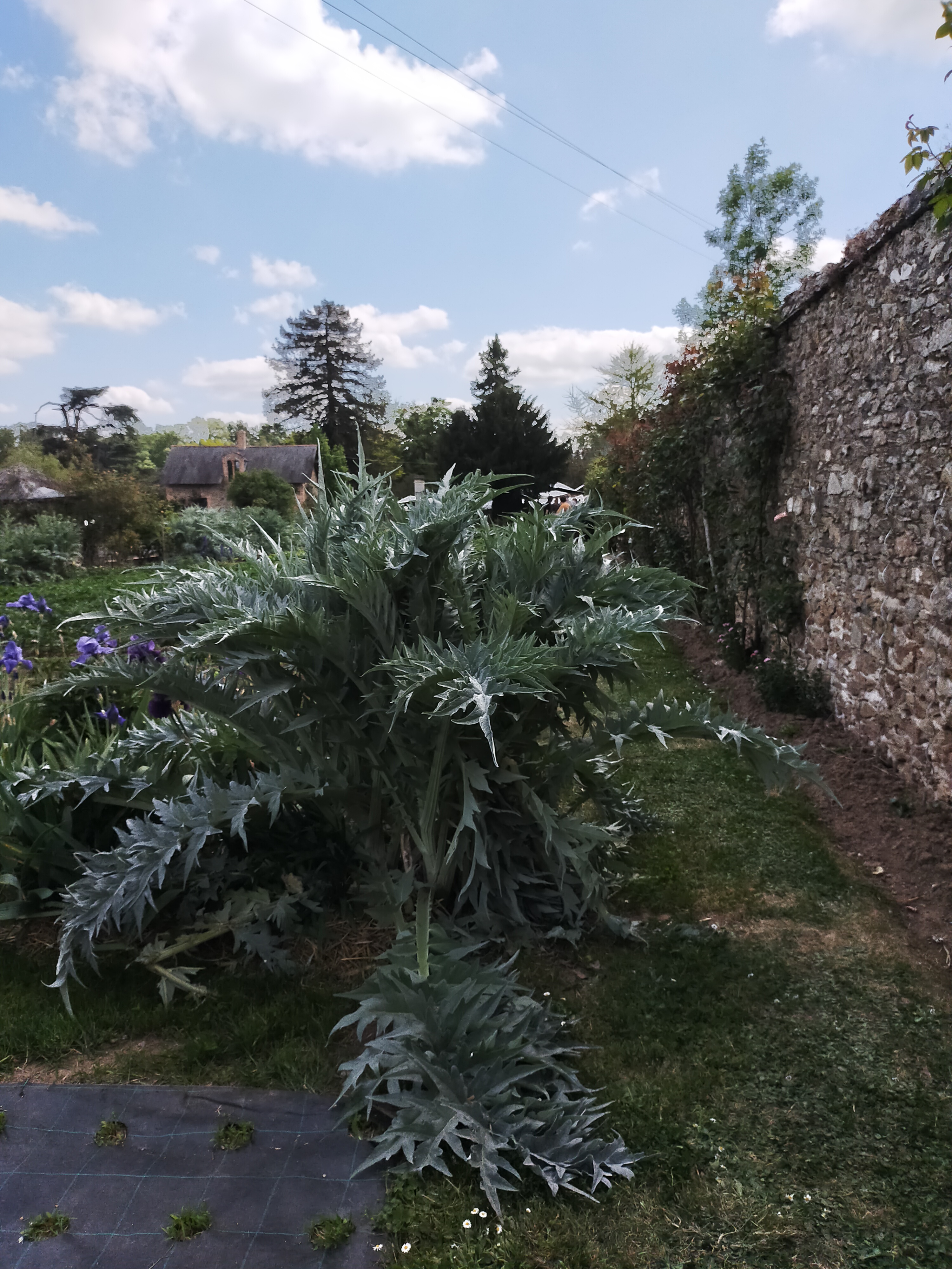 Photo n° 27 de l'avis de Ghislaine.e fait le 07/05/2022 à 16:38
