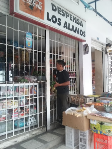 Opiniones de Tienda "Los ALAMOS" en Guayaquil - Tienda de ultramarinos