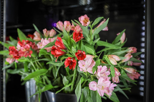 Florist «Donnelly Floral and Event Design», reviews and photos, 111 Sacramento St, Rio Vista, CA 94571, USA