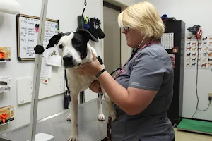 Jessamine County Animal Care & Control image