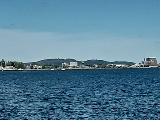 Auto Parts Store «NAPA Auto Parts - Genuine Parts Company», reviews and photos, 1260 Newfield St, Middletown, CT 06457, USA