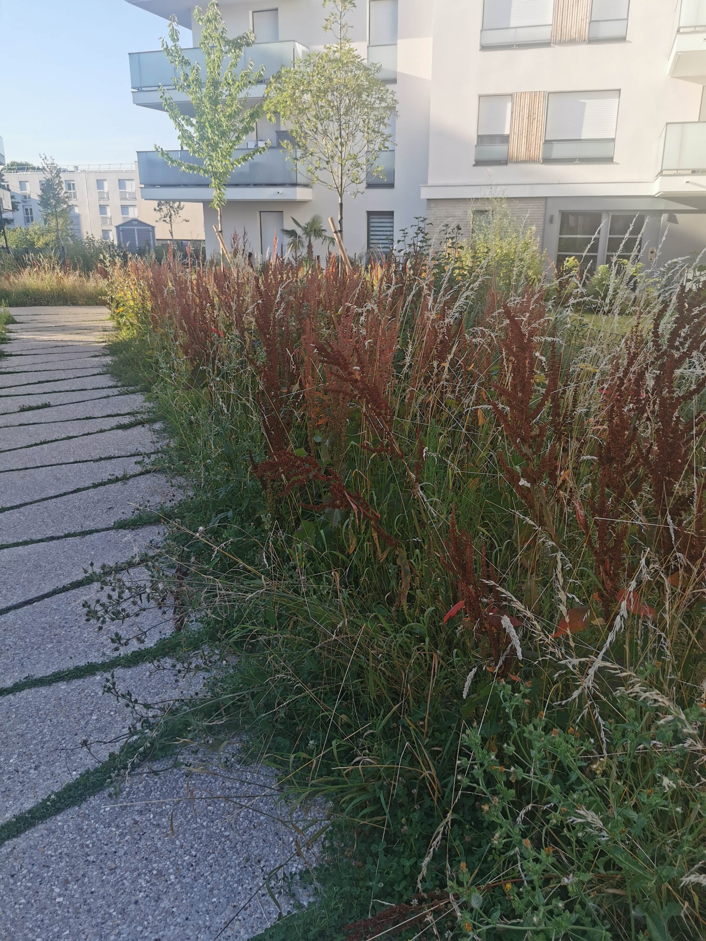 Photo n° 1 de l'avis de Matthieu. fait le 12/08/2022 à 17:18