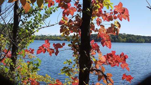 Golf Course «Fresh Pond Golf Course», reviews and photos, 691 Huron Ave, Cambridge, MA 02138, USA