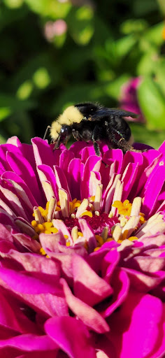 Produce Market «Underwood Family Farms», reviews and photos, 3370 Sunset Valley Rd, Moorpark, CA 93021, USA