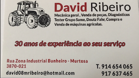 David Moreira Ribeiro, Unipessoal Lda